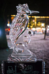 Medina, Ohio Ice Carving Festival
