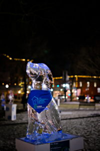 Medina, Ohio Ice Carving Festival