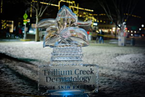 Medina, Ohio Ice Carving Festival