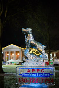 Medina, Ohio Ice Carving Festival