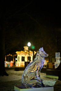 Medina, Ohio Ice Carving Festival