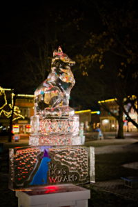 Medina, Ohio Ice Carving Festival