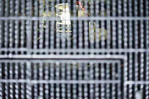 New Orleans, Louisiana