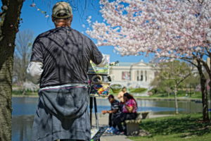 Cherry Blossoms at Wade Lagoon